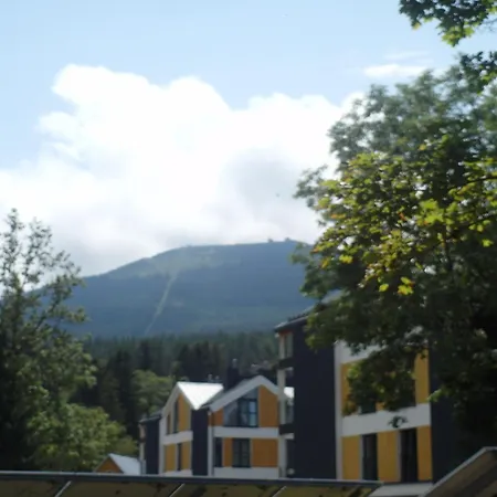 Belle View