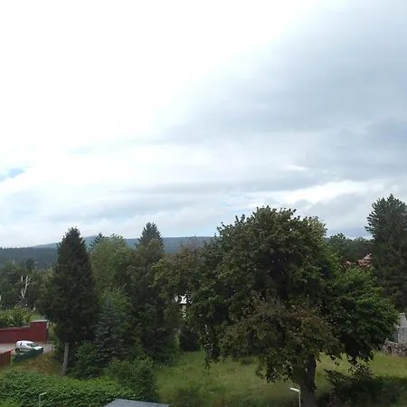 Belle View